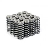 Skunk2 Alpha Series Honda/Acura D Series Valve Spring and Titanium Retainer Kit thumbnail 8