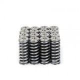Skunk2 Alpha Series Honda/Acura D Series Valve Spring and Titanium Retainer Kit thumbnail 9