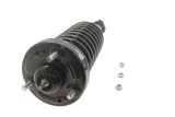 KYB Shocks & Struts Strut Plus Front FORD F-Series (1/2 Ton) (2WD) 2008-2004 thumbnail 1