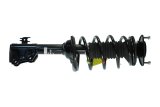 KYB Shocks & Struts Strut Plus Front 00-05 Toyota Echo thumbnail 4