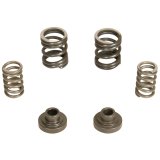 BD Diesel Governor Spring Kit 3000rpm - 1994-1998 Dodge 12-valve/P7100 Pump thumbnail 1