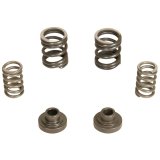 BD Diesel Governor Spring Kit 3000rpm - 1994-1998 Dodge 12-valve/P7100 Pump thumbnail 2