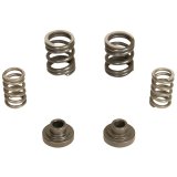 BD Diesel Governor Spring Kit 3000rpm - 1994-1998 Dodge 12-valve/P7100 Pump thumbnail 3
