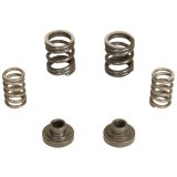 BD Diesel Governor Spring Kit 3000rpm - 1994-1998 Dodge 12-valve/P7100 Pump thumbnail 4