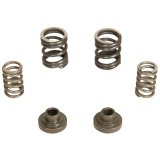 BD Diesel Governor Spring Kit 3000rpm - 1994-1998 Dodge 12-valve/P7100 Pump thumbnail 6