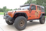 Fishbone Offroad 07-18 Jeep Wrangler JK Inner Fender Accent Plate thumbnail 5