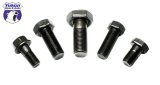 Yukon Gear Ford 7.5in & 8.8in Ring Gear Bolt / Standard Open & Tracloc thumbnail 4
