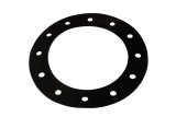 Aeromotive Fuel Cell Filler Neck Replacement Gasket thumbnail 1