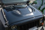 DV8 Offroad 07-18 Jeep Wrangler JK Rubicon 10th Anniversary Replica Hood thumbnail 3
