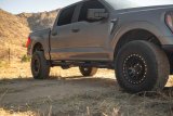 DV8 Offroad 15-24 Ford F-150 Crew Cab - OE Plus Side Steps thumbnail 3