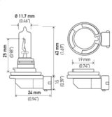 Hella Bulb H9 12V 65W PGJ19-5 T4 thumbnail 7