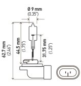 Hella Bulb 862 12V 37.5W PGJ13 T3.25 thumbnail 3