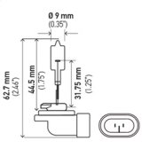 Hella Bulb 862 12V 37.5W PGJ13 T3.25 thumbnail 8