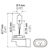Hella Bulb 862 12V 37.5W PGJ13 T3.25 thumbnail 9