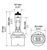 Hella Bulb 893 12V 37.5W PG13 T3.25 thumbnail 3