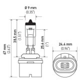 Hella Bulb 893 12V 37.5W PG13 T3.25 thumbnail 7