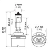 Hella Bulb 893 12V 37.5W PG13 T3.25 thumbnail 8