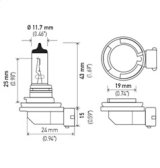 Hella Bulb H8 12V 35W PGJ19-1 T4 thumbnail 9