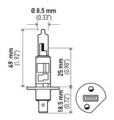 Hella Bulb H1 12V 55W P14.5s T2.5 LONGLIFE thumbnail 5