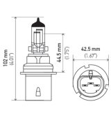 Hella Bulb 9004/HB1 12V 65/45W P29T T4.6 thumbnail 8