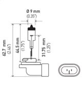 Hella Bulb 881 12V 27W Pgj13 T325 thumbnail 8