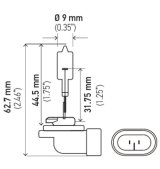 Hella Bulb 894 12V 375W Pgj13 T325 thumbnail 6