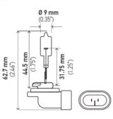 Hella Bulb 894 12V 375W Pgj13 T325 thumbnail 7