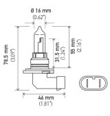 Hella Bulb 9005 12V 65W P20D T4 +50 thumbnail 8