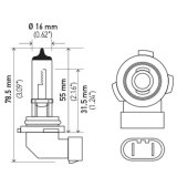 Hella Bulb H10/9145 12V 45W Py20D T4 thumbnail 7