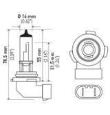 Hella Bulb H10/9145 12V 45W Py20D T4 thumbnail 8