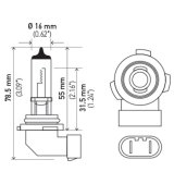 Hella Bulb H10/9145 12V 45W Py20D T4 thumbnail 9
