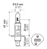 Hella Bulb H1 12V 55W P145S T25 +50 (2) thumbnail 6