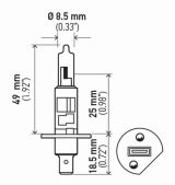 Hella Bulb H1 12V 55W P145S T25 (2) thumbnail 7
