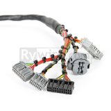 Rywire Honda B-Series Mil-Spec Engine Harness w/Chassis Specific Adapter (1x rywRY-B2-MILSPEC, 1x rywRY-B-SUB-FLY) thumbnail 2