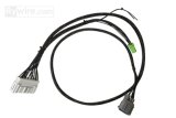 Rywire Honda B-Series Mil-Spec Engine Harness w/Chassis Specific Adapter (1x rywRY-B-SUB-EK-2A, 1x rywRY-B2-MILSPEC-W/QUICK) thumbnail 2
