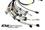 Rywire Honda K-Series (w/Emtron KV8 ECU) Engine Harness w/Chassis Specific Adapter (1x rywRY-B-SUB-DA-LATE-GSR, 1x rywRY-K2-EMTRON-KV8) thumbnail 1