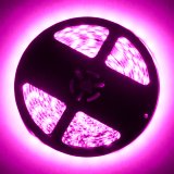 Oracle Exterior Black Flex LED 12in Strip - RGB ColorSHIFT thumbnail 5