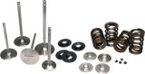 Ferrea 15-24 BMW S58 Single Spring Kit thumbnail 1
