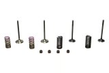 Wiseco Piston Garage Buddy Steel Valve Kits for 2004-2007 CRF250R, 2004-2017 CRF250X - SVKB1336 Valves, Kits, Intake and Exhaust, Stock Head Size, use on Honda®, Kit thumbnail 2