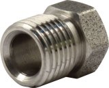 Allstar Performance Inverted Flare Nuts ALL50117 Tube Nuts, Flare, 1/4 in. Tube, 7/16-24 in. Nut, Stainless Steel, Natural, Set of 10 thumbnail 2