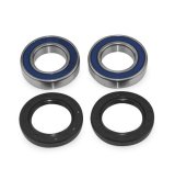 Quadboss Wheel and Carrier Bearing Seal Kits 413591 Powersports Drivetrain Kits, Carrier, Steel, Polaris, Rear, Kit thumbnail 1