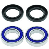 Quadboss Wheel and Carrier Bearing Seal Kits 413591 Powersports Drivetrain Kits, Carrier, Steel, Polaris, Rear, Kit thumbnail 2