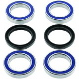 Quadboss Wheel and Carrier Bearing Seal Kits 413484 Powersports Drivetrain Kits, Carrier, Steel, Yamaha, Rear, Kit thumbnail 2