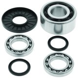 Quadboss Differential Bearing and Seal Kits 414291 Powersports Drivetrain Kits, Differential, Steel, Polaris, Front, Kit thumbnail 2