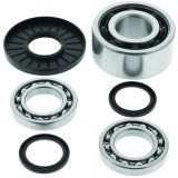 Quadboss Differential Bearing and Seal Kits 414291 Powersports Drivetrain Kits, Differential, Steel, Polaris, Front, Kit thumbnail 3