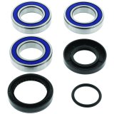 Quadboss Wheel and Carrier Bearing Seal Kits 413290 Bearings Seals, for use on Honda®, Rear, Kit thumbnail 2