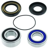 Quadboss Wheel and Carrier Bearing Seal Kits 413483 Powersports Drivetrain Kits, Suzuki, Steel, Carrier, Rear Kit thumbnail 2