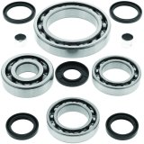 Quadboss Differential Bearing and Seal Kits 413021 Powersports Drivetrain Kits, Differential, Steel, Polaris, Front, Kit thumbnail 2