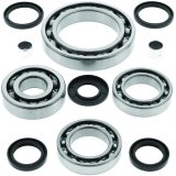 Quadboss Differential Bearing and Seal Kits 413021 Powersports Drivetrain Kits, Differential, Steel, Polaris, Front, Kit thumbnail 3