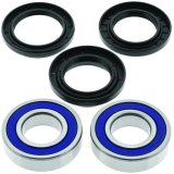 Quadboss Wheel and Carrier Bearing Seal Kits 413984 Seal, 1-Wheel, Yamaha, Rear, Kit thumbnail 2